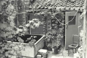 Shared back garden, 58-66 Euston Street, 1975
