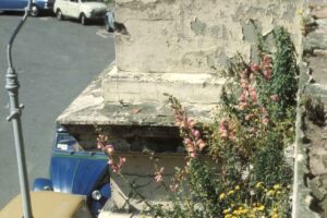 Wild flowers growing on the neglected balconies in Tolmers Square, 1977.