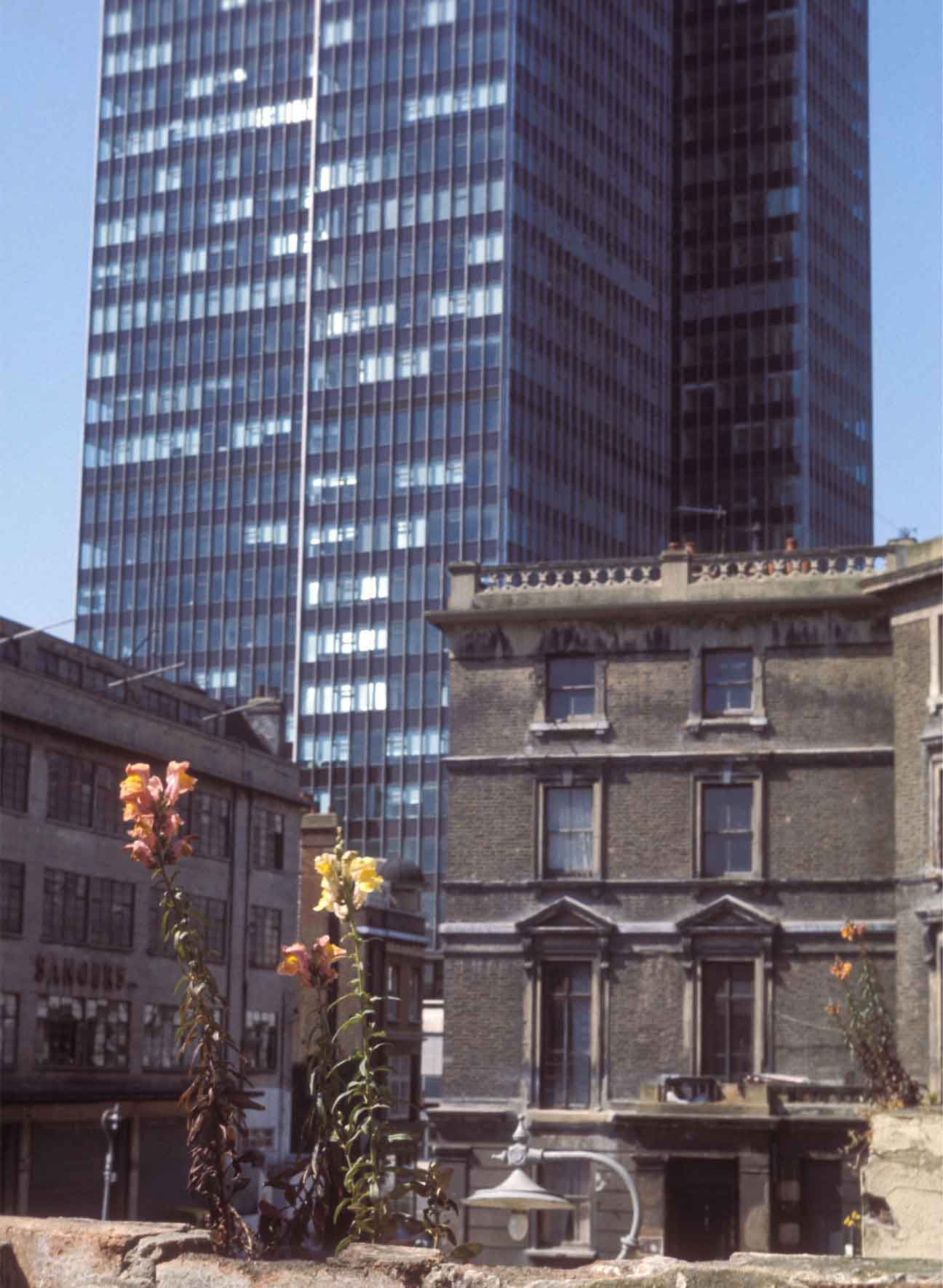 Wallflowers growing on the balconies, Tolmers Square, 1970s