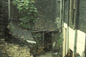 Back yards of 58-66 Euston Street, 1975
