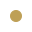 bullet